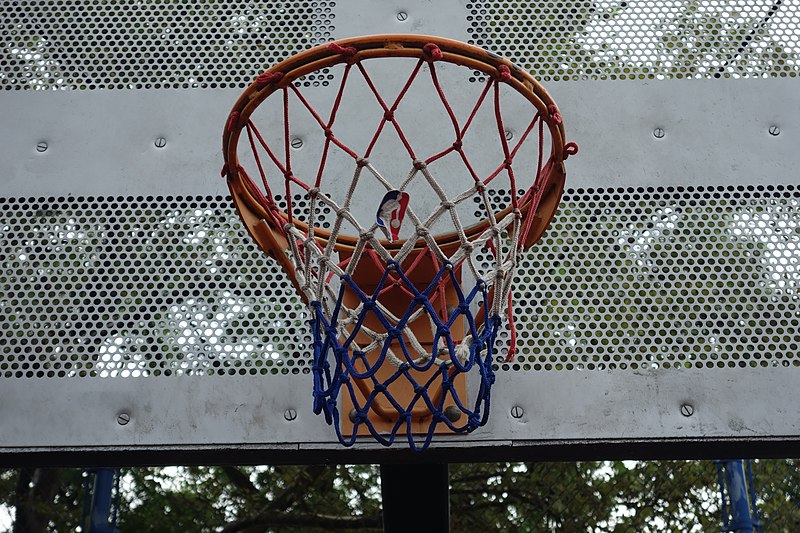 basketball double rim hoops